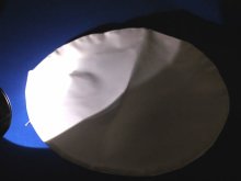 他の写真1: 制帽カバー　【夜光反射】　白反射　横メッシュ