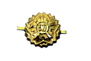 ミニダブルライト 単2用 肩章吊付 LEDタイプ - 警備用品・防犯
