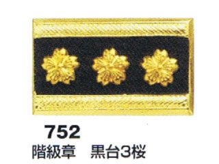 70726f647563742f733735322e6a70